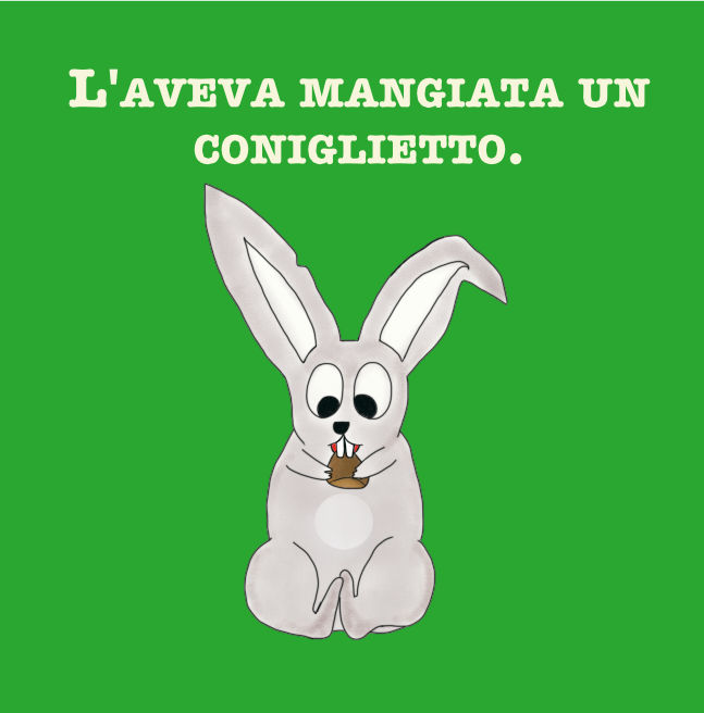 C'era un coniglietto... - Libro bambini