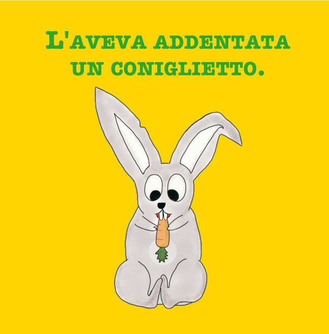 C'era un coniglietto... - Libro bambini