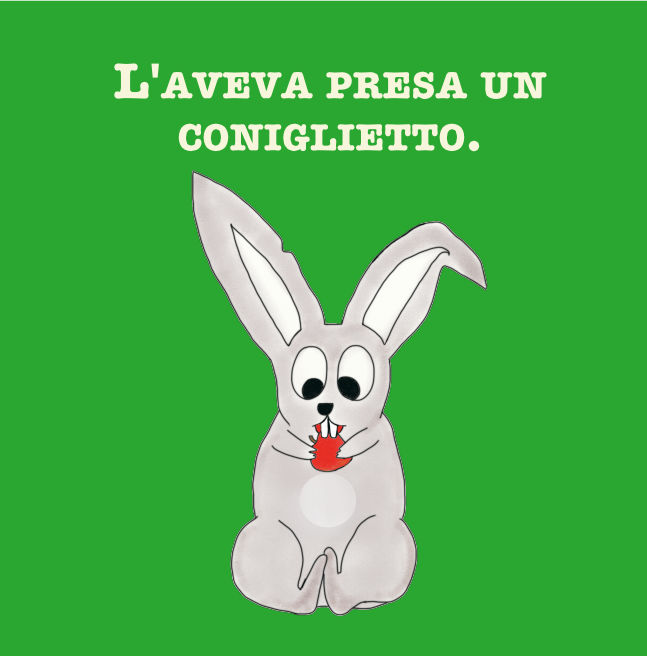 C'era un coniglietto... - Libro bambini