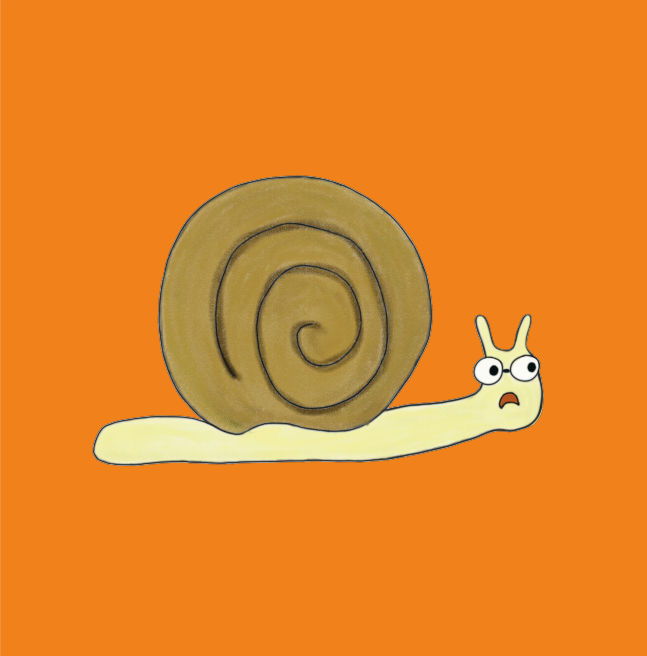 C'era un coniglietto... - Libro bambini