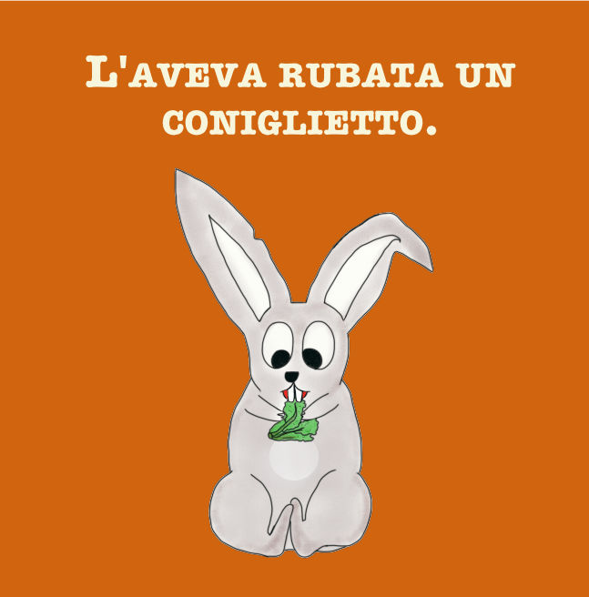 C'era un coniglietto... - Libro bambini